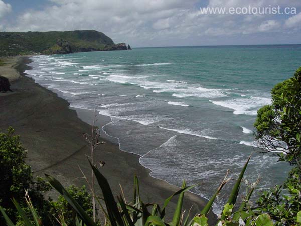 newzealand_piha197