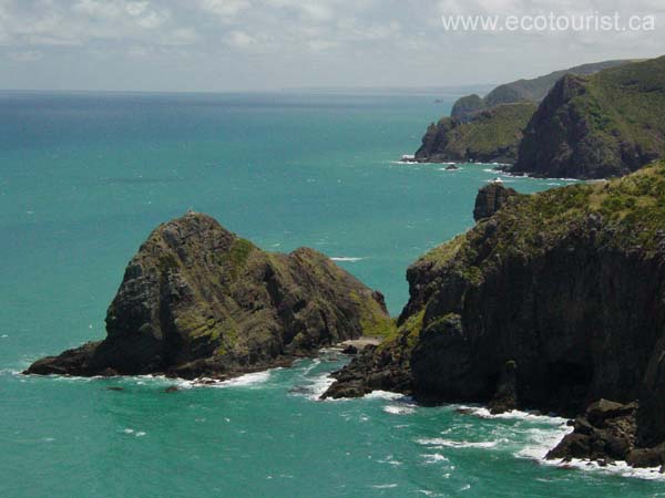 newzealand_piha198