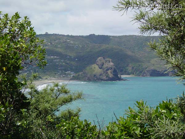 newzealand_piha199