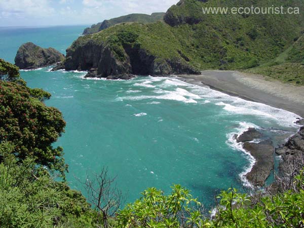 newzealand_piha200