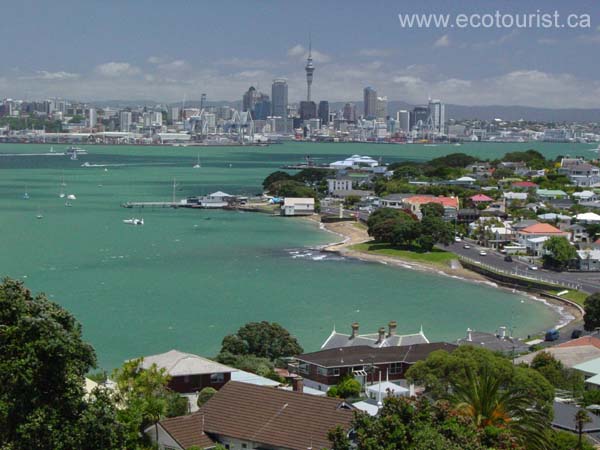 newzealandz133