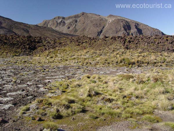 tongariro104