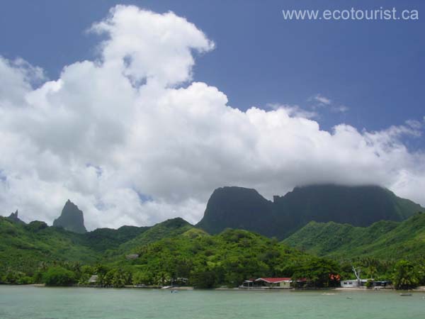 moorea238